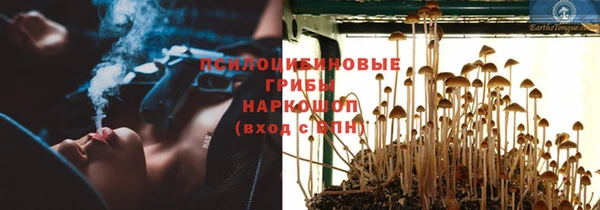 молекула духа Гусь-Хрустальный