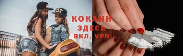 a pvp Гусев