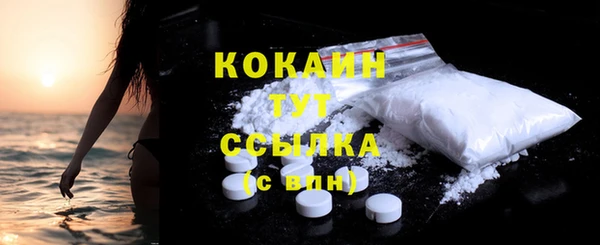 a pvp Гусев