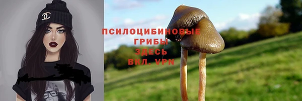молекула духа Гусь-Хрустальный