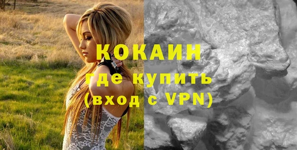 a pvp Гусев