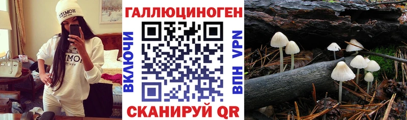 даркнет телеграм  Мариинск  Псилоцибиновые грибы Cubensis 